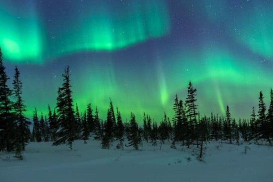 Auroras Boreales – Whitehorse